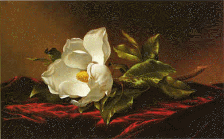 Martin Johnson Heade Magnolia f